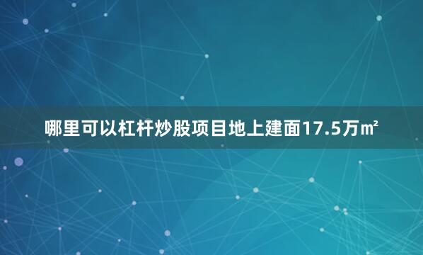 哪里可以杠杆炒股项目地上建面17.5万㎡