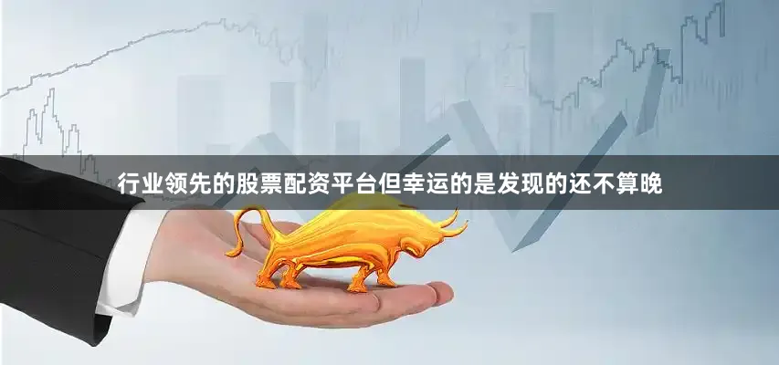 行业领先的股票配资平台但幸运的是发现的还不算晚