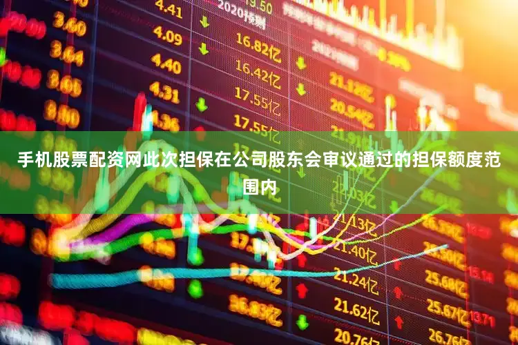 手机股票配资网此次担保在公司股东会审议通过的担保额度范围内