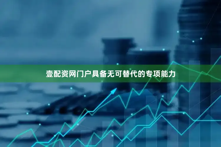 壹配资网门户具备无可替代的专项能力